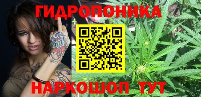 индика Нарткала