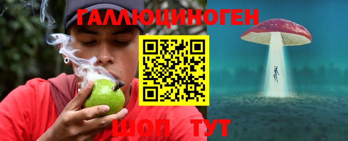 Чистополь  Псилоцибиновые грибы мухоморы  Вход с VPN 